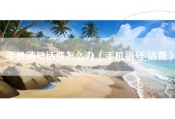 手机销号话费怎么办（手机销号 话费）