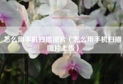 怎么用手机扫描图片（怎么用手机扫描图片上传）