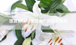 摆渡销售与摆渡推广的区别解析