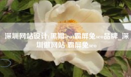 深圳网站设计(黑帽seo)霸屏兔seo品牌_深圳做网站 霸屏兔seo