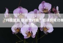 “科技赋能 政银企对接”培训班成功举办