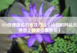 SEO快速排名的有效方法（让您的网站迅速登上搜索引擎首页）