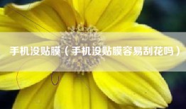 手机没贴膜（手机没贴膜容易刮花吗）