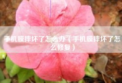 手机膜摔坏了怎么办（手机膜摔坏了怎么修复）