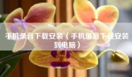 手机录音下载安装（手机录音下载安装到电脑）