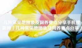 几种常见地图鱼及饲养要点分享手机搜狐网「几种常见地图鱼及饲养要点分享」
