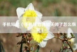 手机短息（手机短信通知关闭了怎么恢复）