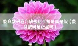 能良数码官方旗舰店手机是真是假（能良数码是正品吗）
