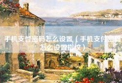 手机支付密码怎么设置（手机支付密码怎么设置指纹）
