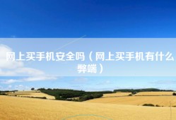 网上买手机安全吗（网上买手机有什么弊端）