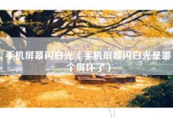 手机屏幕闪白光（手机屏幕闪白光是哪个屏坏了）