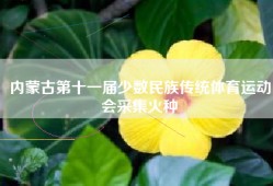 内蒙古第十一届少数民族传统体育运动会采集火种