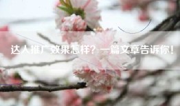 达人推广效果怎样？一篇文章告诉你！