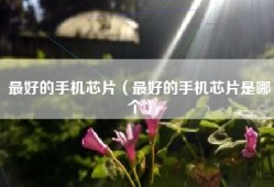 最好的手机芯片（最好的手机芯片是哪个）
