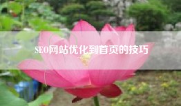 SEO网站优化到首页的技巧