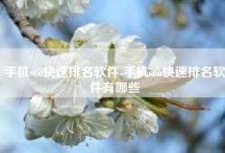 手机seo快速排名软件-手机seo快速排名软件有哪些