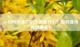 seo对网络推广的作用是什么？如何提升网站排名？
