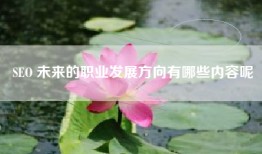 SEO 未来的职业发展方向有哪些内容呢
