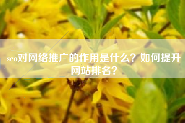 seo对网络推广的作用是什么？如何提升网站排名？