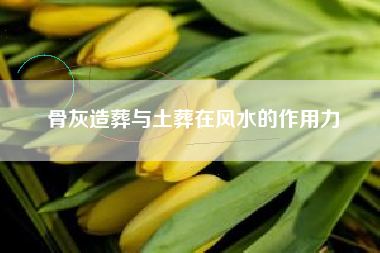 骨灰造葬与土葬在风水的作用力