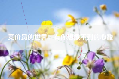 竞价员的世界，有你想象不到的心酸