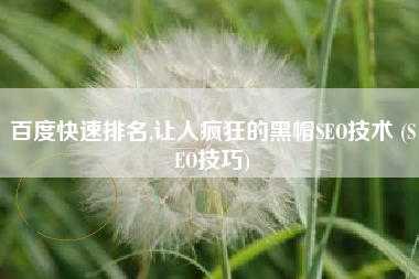 百度快速排名,让人疯狂的黑帽SEO技术 (SEO技巧)