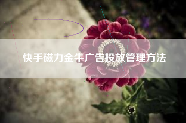 快手磁力金牛广告投放管理方法