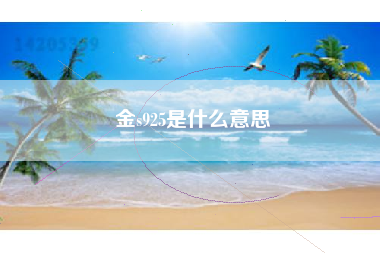 金s925是什么意思