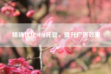 精确优化SEM托管,提升广告效果 精确优化SEM托管,提升广告效果