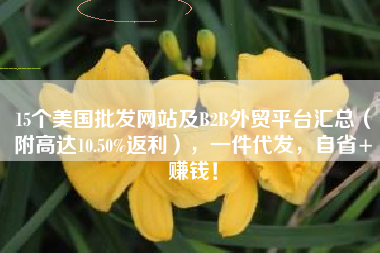 15个美国批发网站及B2B外贸平台汇总（附高达10.50%返利），一件代发，自省+赚钱！