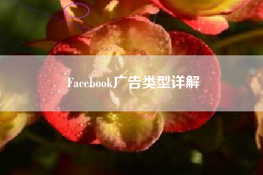 Facebook广告类型详解
