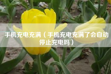 手机充电充满（手机充电充满了会自动停止充电吗）