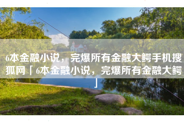 6本金融小说，完爆所有金融大鳄手机搜狐网「6本金融小说，完爆所有金融大鳄」