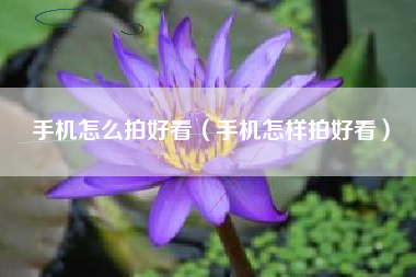 手机怎么拍好看（手机怎样拍好看）