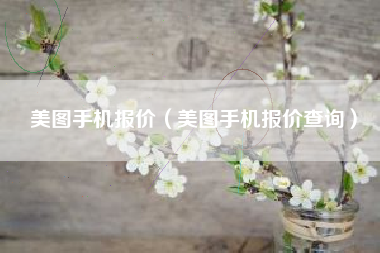 美图手机报价（美图手机报价查询）