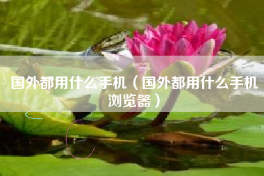 国外都用什么手机（国外都用什么手机浏览器）