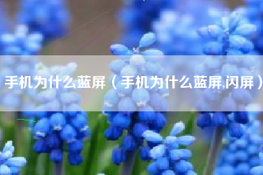 手机为什么蓝屏（手机为什么蓝屏,闪屏）