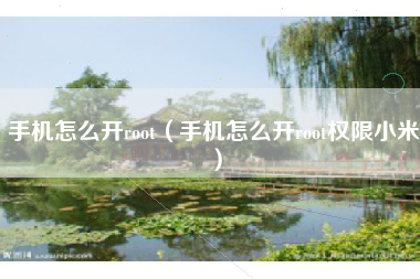 手机怎么开root（手机怎么开root权限小米）