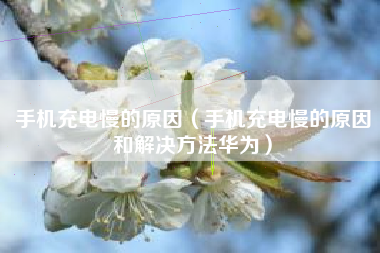 手机充电慢的原因（手机充电慢的原因和解决方法华为）