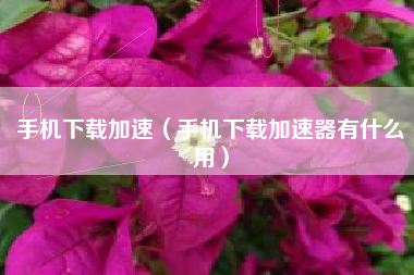 手机下载加速（手机下载加速器有什么用）