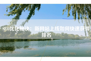 SEO优化秘诀：新网站上线如何快速获得排名