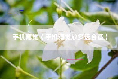 手机睡觉（手机睡觉放多远合适）