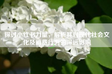 探讨小红书力量，解析其对现代社会文化及消费行为的深远影响