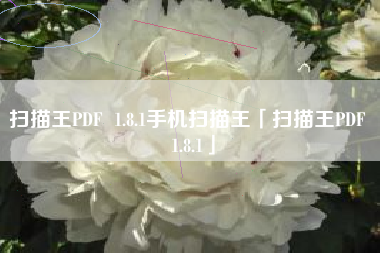 扫描王PDF 1.8.1手机扫描王「扫描王PDF 1.8.1」 扫描王PDF 1.8.1手机扫描王「扫描王PDF 1.8.1」