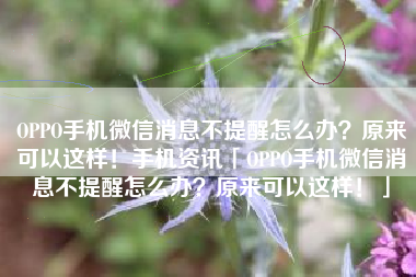 OPPO手机微信消息不提醒怎么办？原来可以这样！手机资讯「OPPO手机微信消息不提醒怎么办？原来可以这样！」