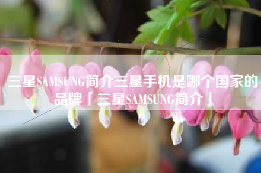 三星SAMSUNG简介三星手机是哪个国家的品牌「三星SAMSUNG简介」